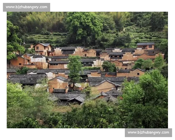 1200 人赴松阳之约：在江南秘境中定向穿行