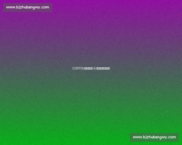 CORTIS 双份甜：雨凡 & 乾镐的粉丝可爱日记